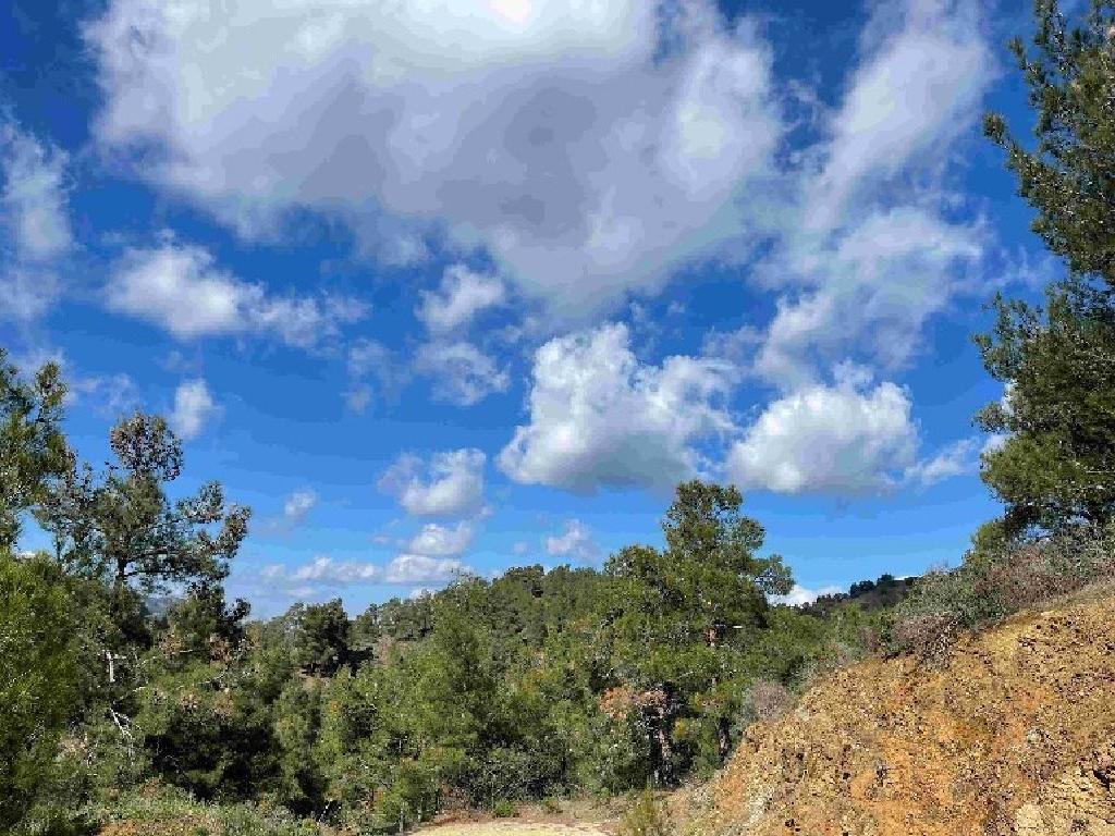 Field-Kakopetria-PR41805