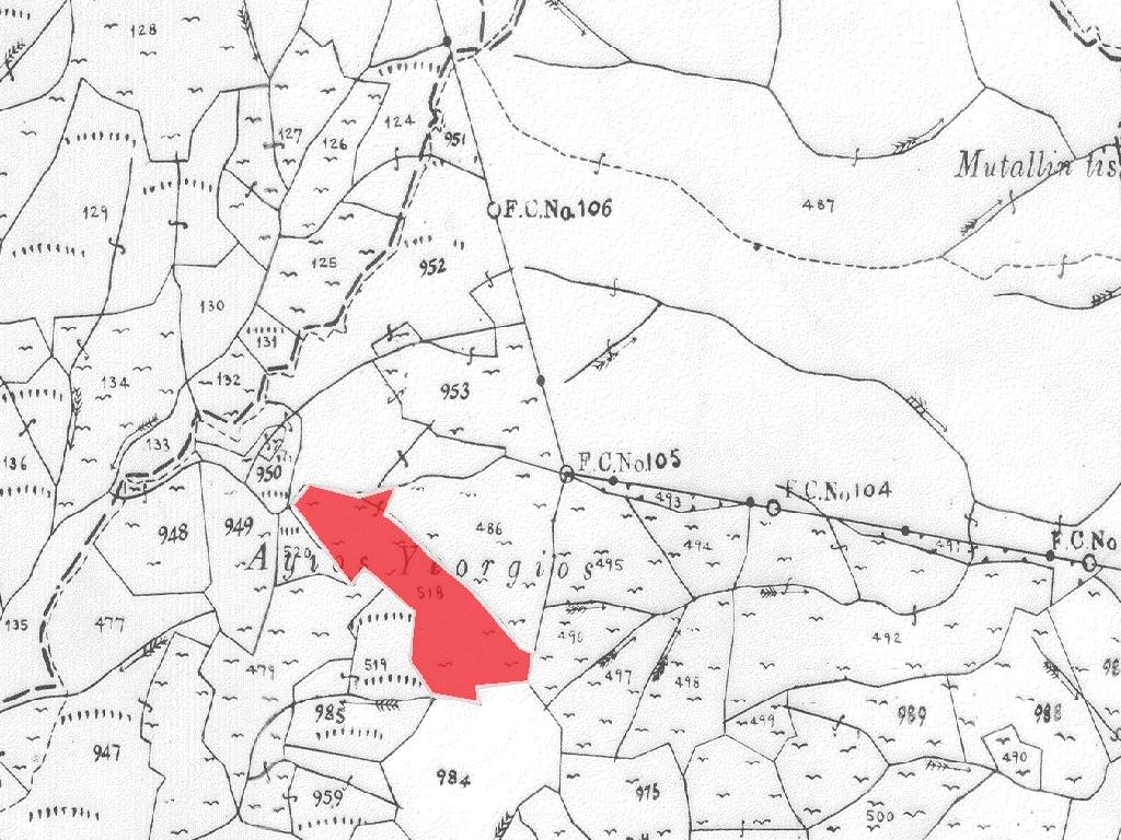 Field-Kakopetria-PR41805