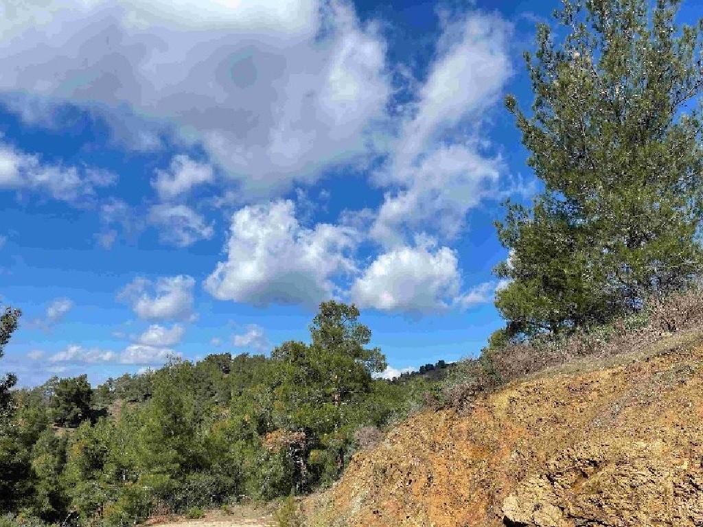 Field-Kakopetria-PR41805