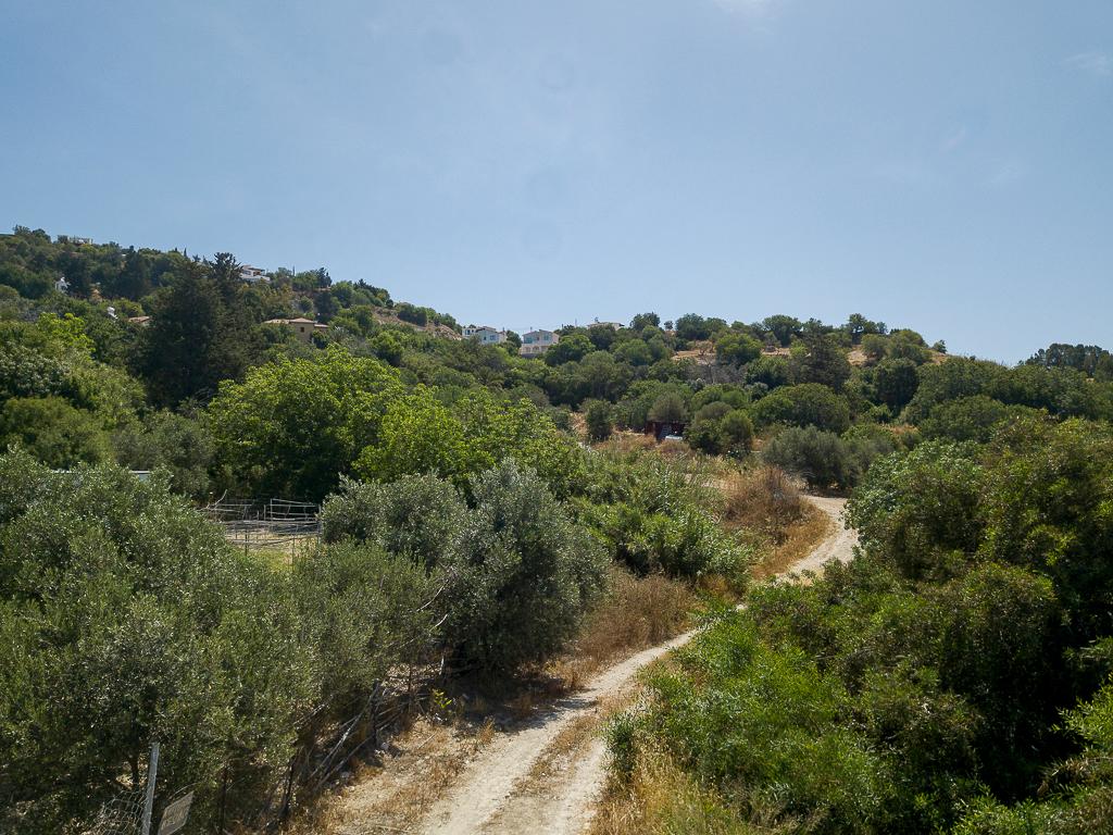 Field-Armou-PR42625