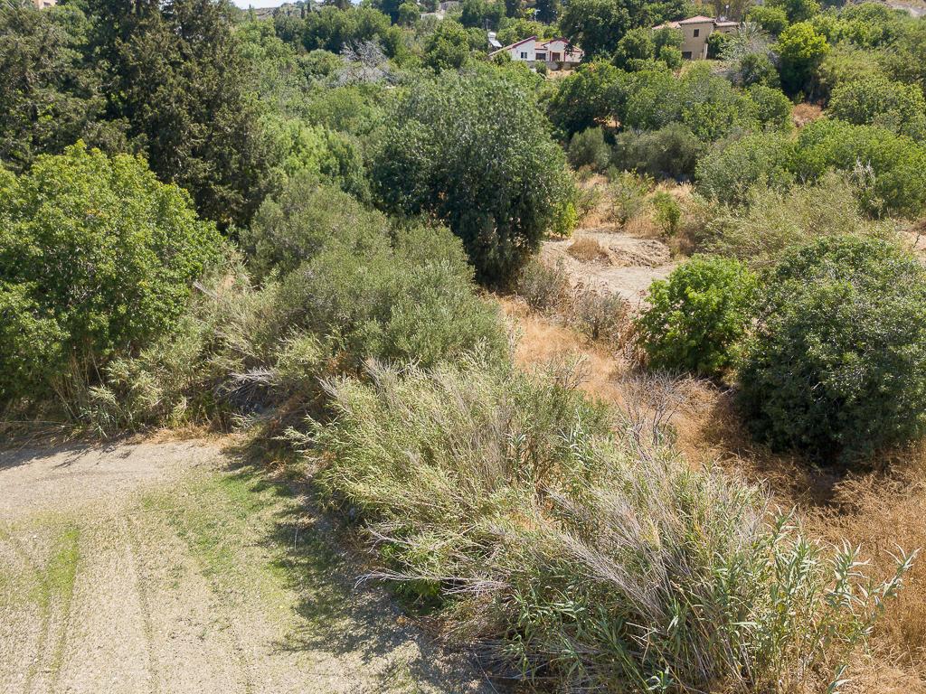 Field-Armou-PR42625