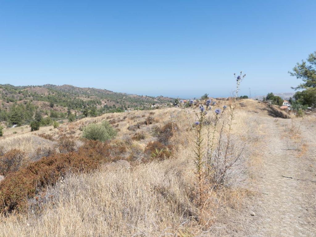 Field - Korakou, Nicosia