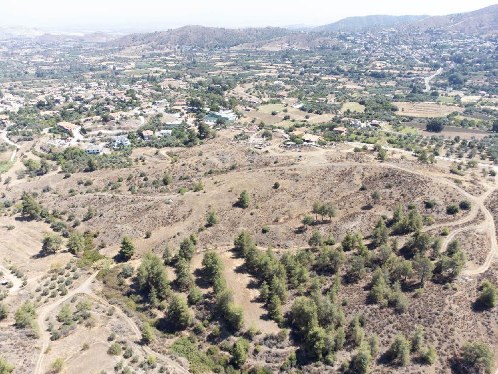 Field - Korakou, Nicosia