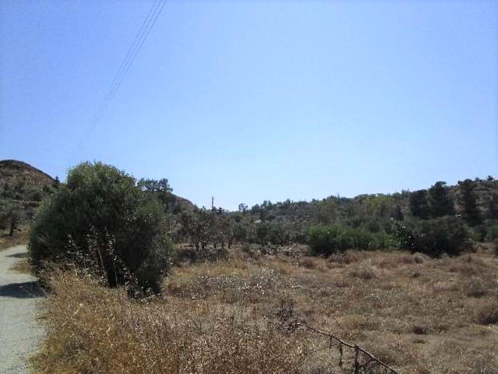 Χωράφι (Μερίδιο)- Μάμμαρι, Λευκωσία