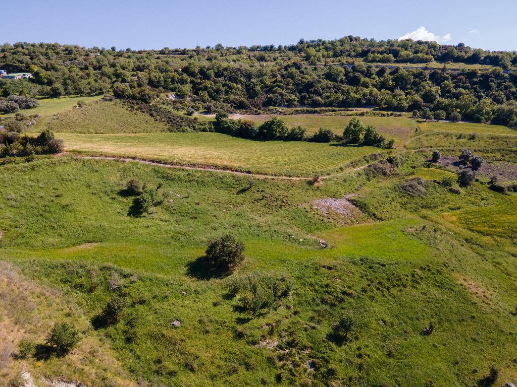 Field-Simou-PR15296