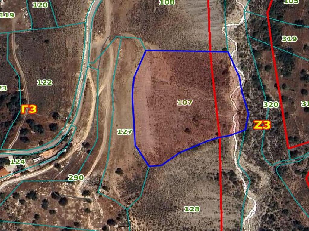 Field-Pegeia-PR15321