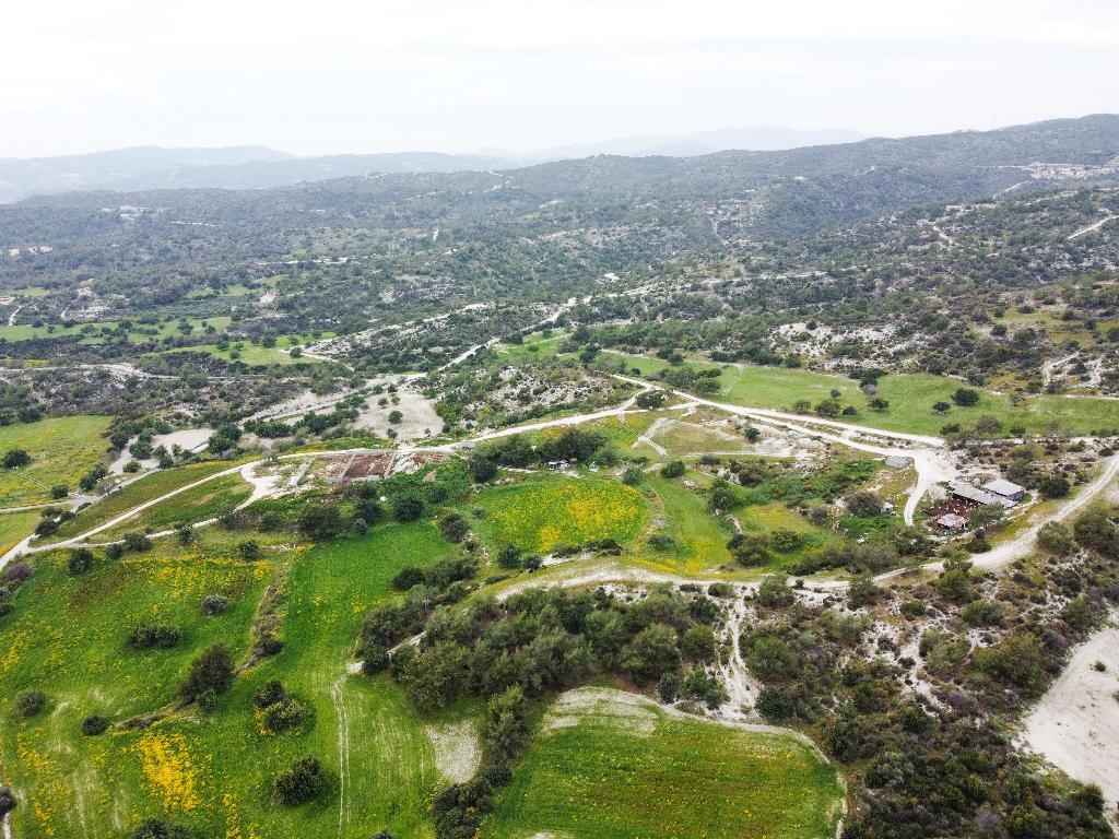 Field (Share) - Choirokitia, Larnaca