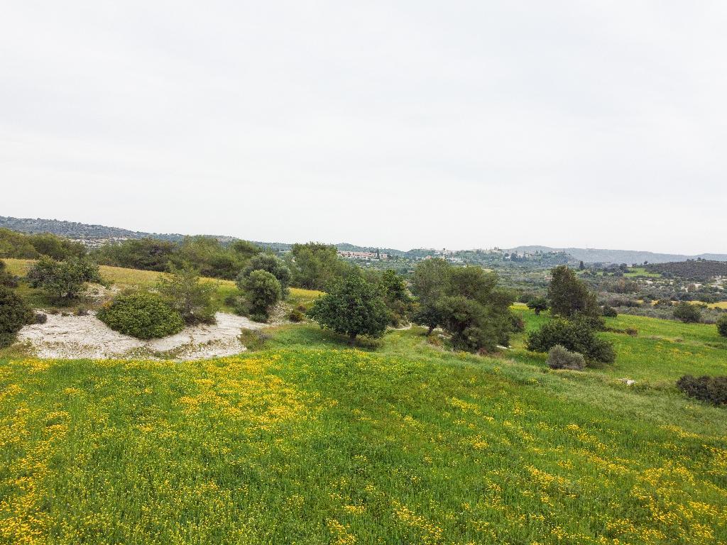 Field (Share) - Choirokitia, Larnaca