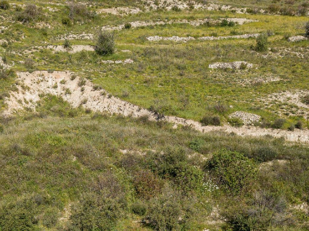 Field-Potamiou-PR36152