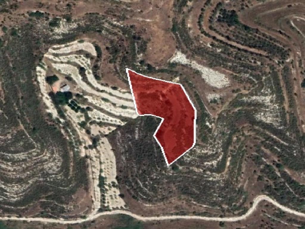 Field-Pachna-PR36278