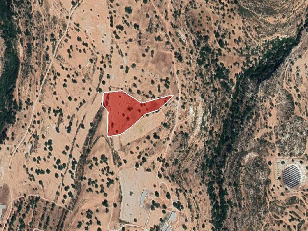 Field-Pachna-PR36510