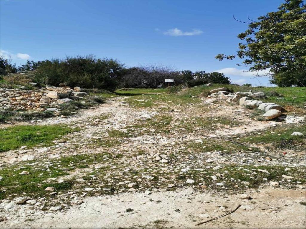 Field-Pachna-PR36510