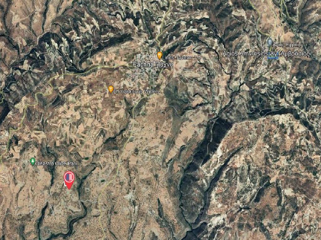 Field-Pachna-PR36510