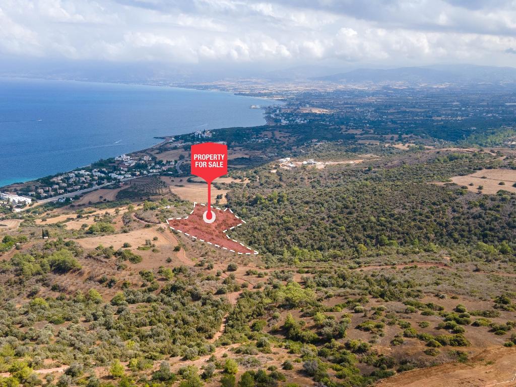 Field - Neo Chorio, Paphos