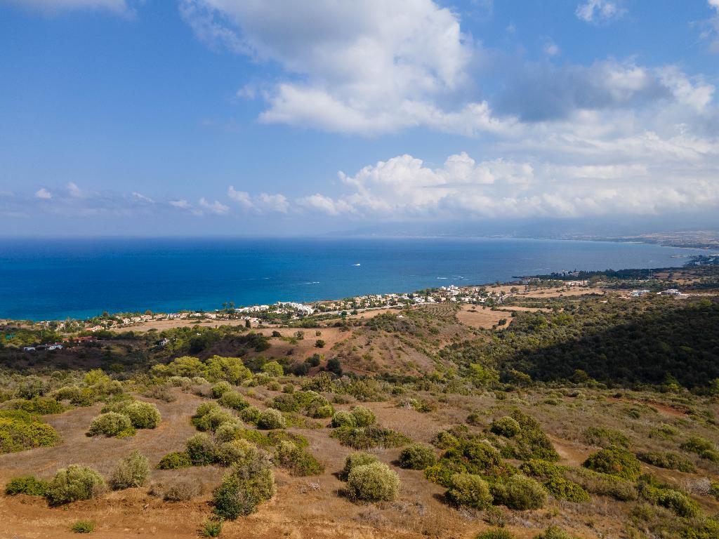 Χωράφι - Νέο Χωριό, Πάφος