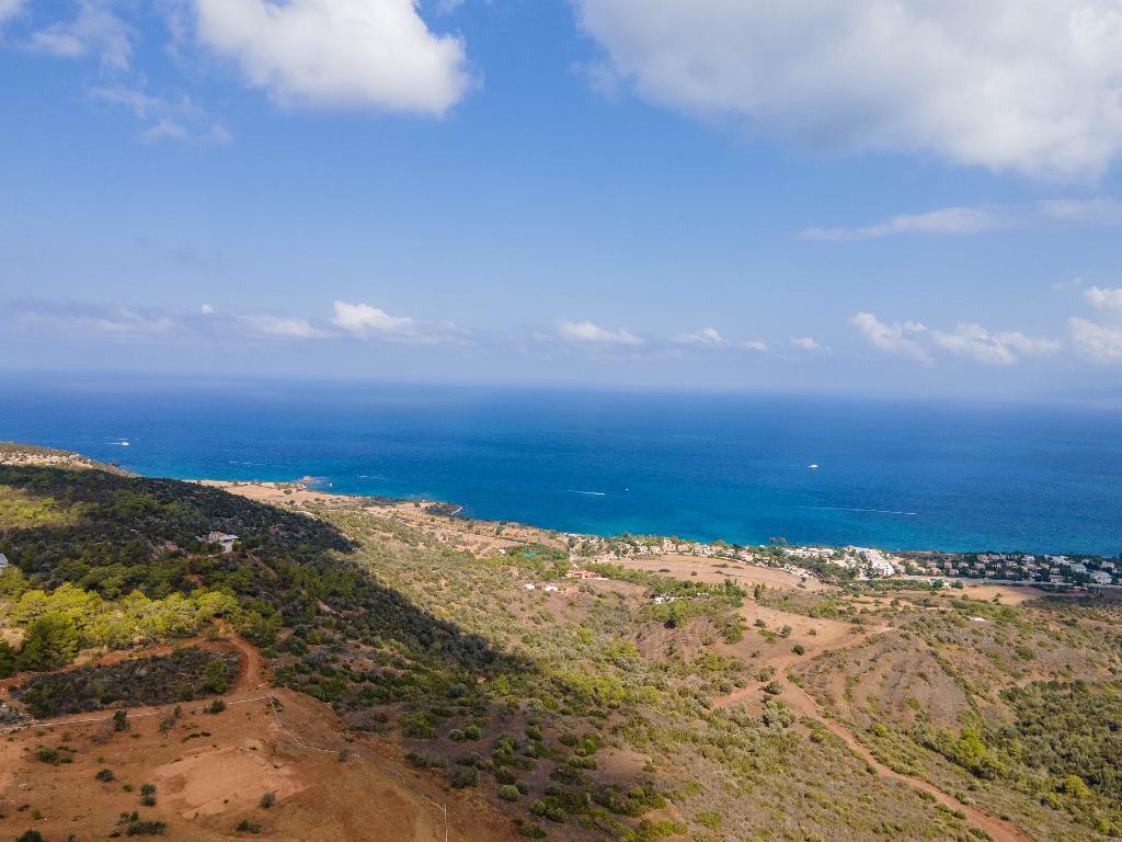 Field - Neo Chorio, Paphos