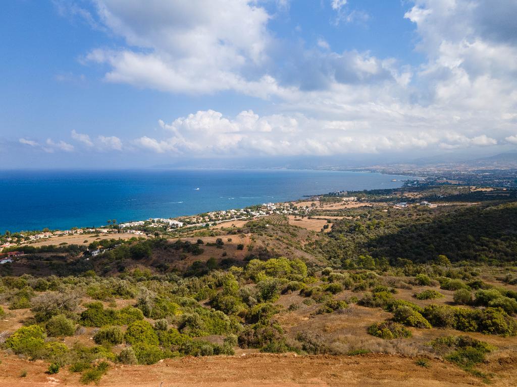 Field - Neo Chorio, Paphos