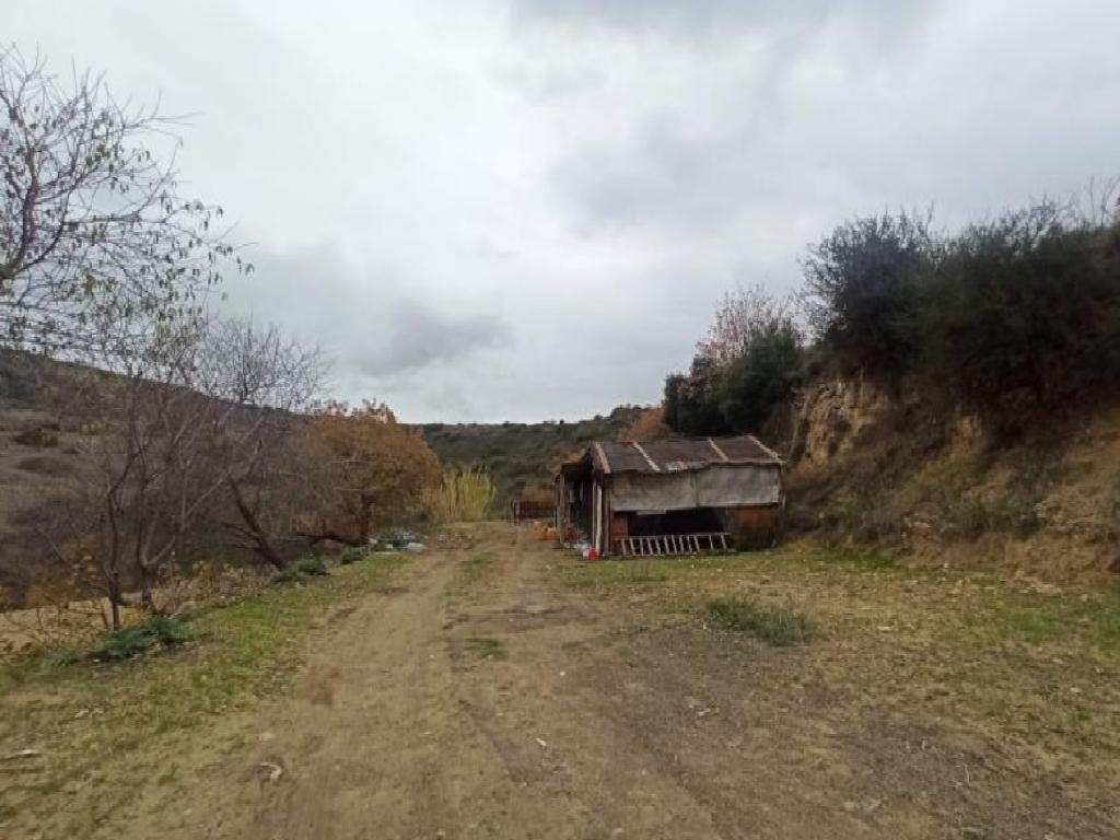 Field-Agios Dimitrianos-PR37604