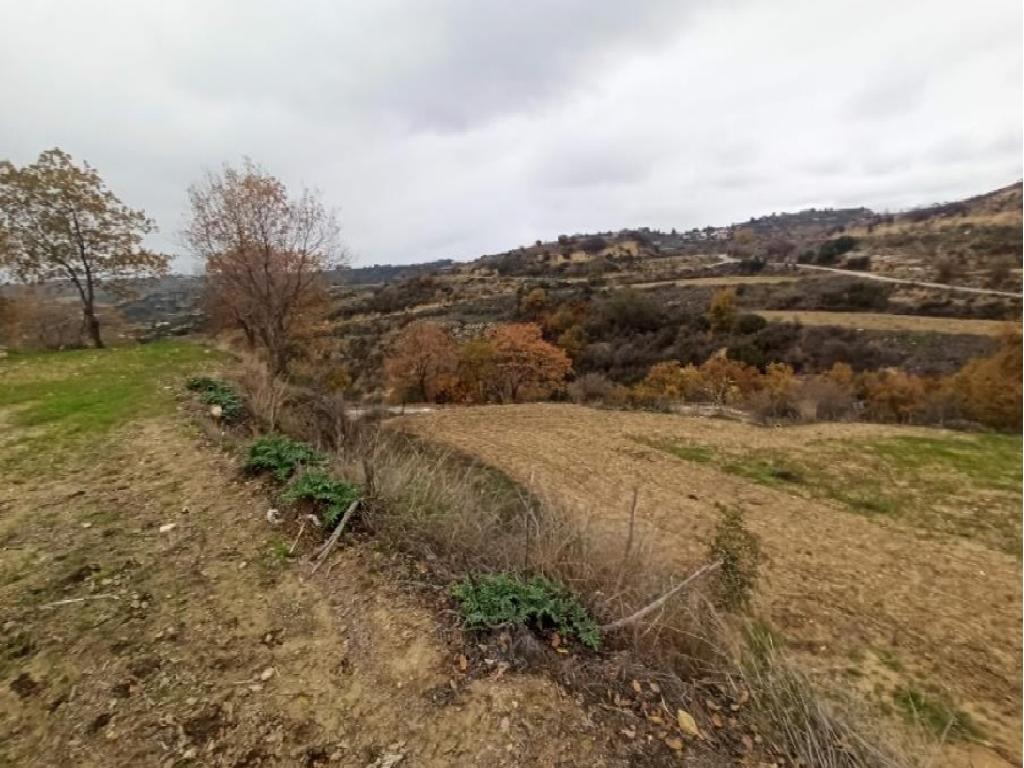 Field-Agios Dimitrianos-PR37604