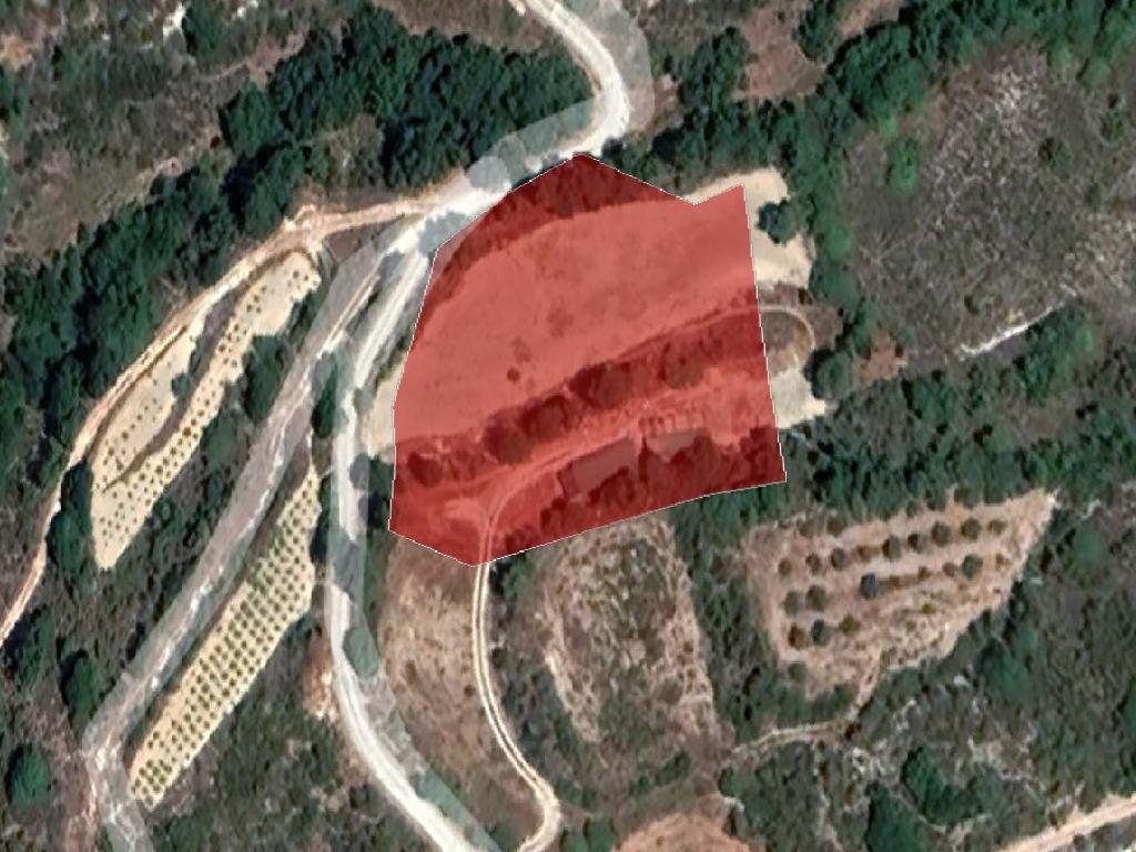 Field-Agios Dimitrianos-PR37604
