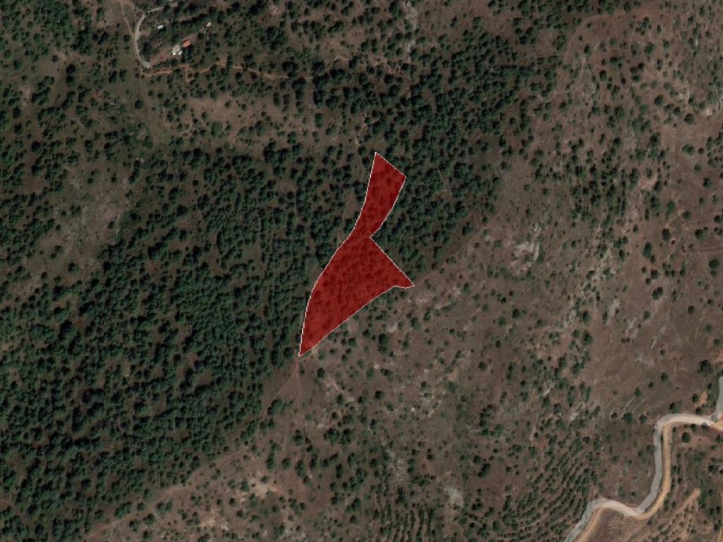 Field-Klirou-PR37838