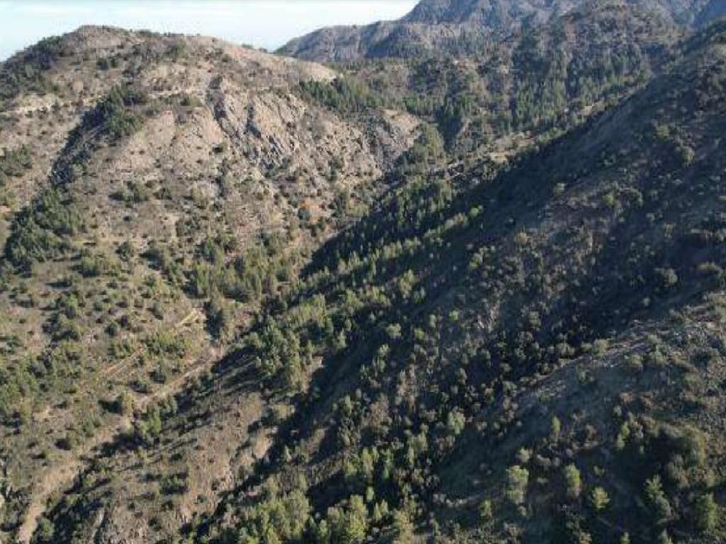 Field-Gourri-PR39752