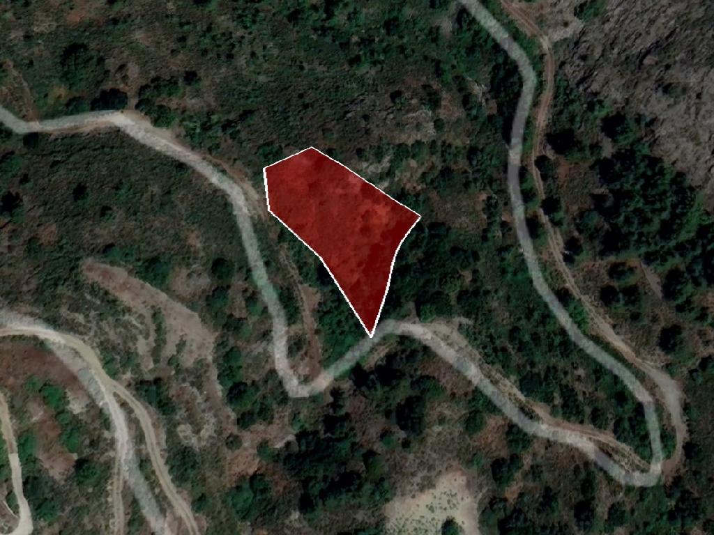 Field-Gourri-PR39752