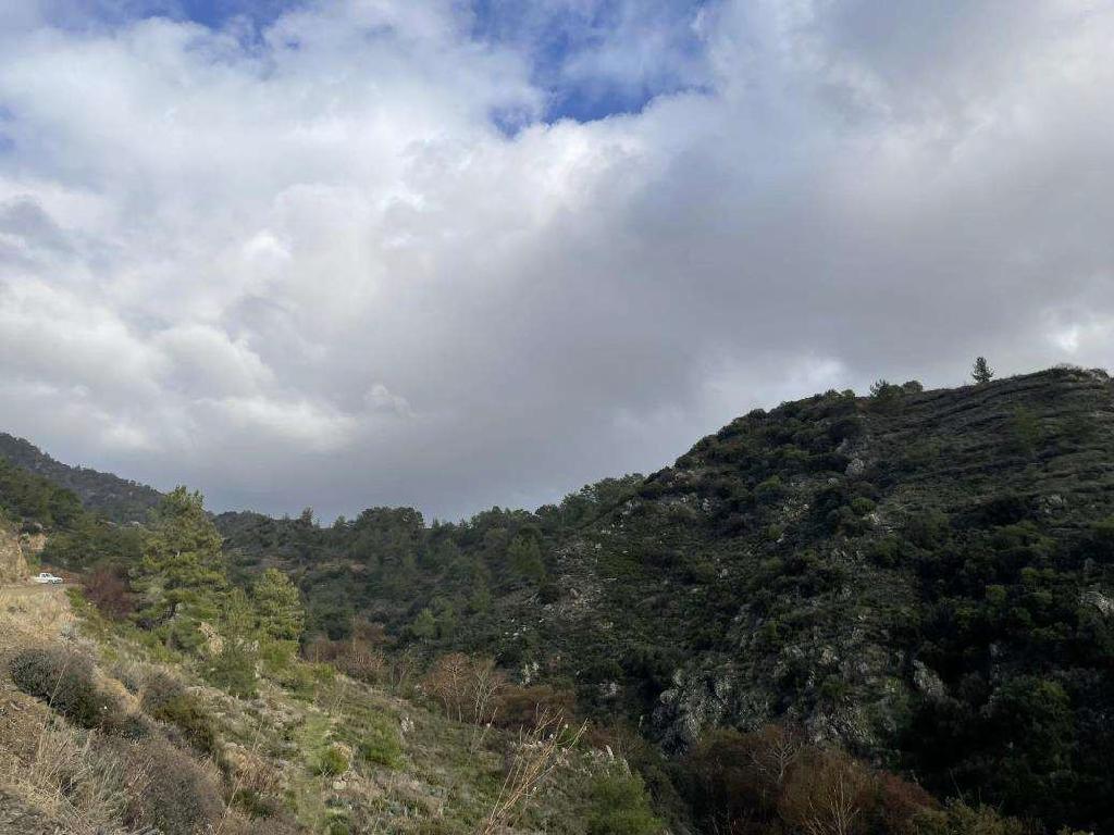 Field-Agios Pavlos-PR41592
