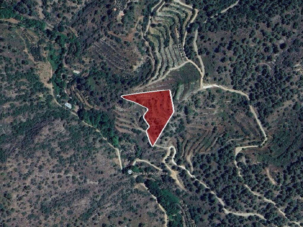 Field-Agios Pavlos-PR41592
