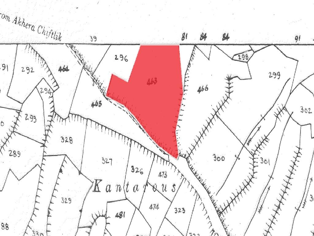 Field-Agrokipia-PR41976