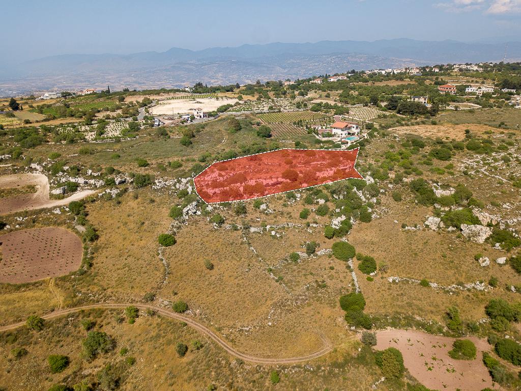 Field-Ineia-PR42796