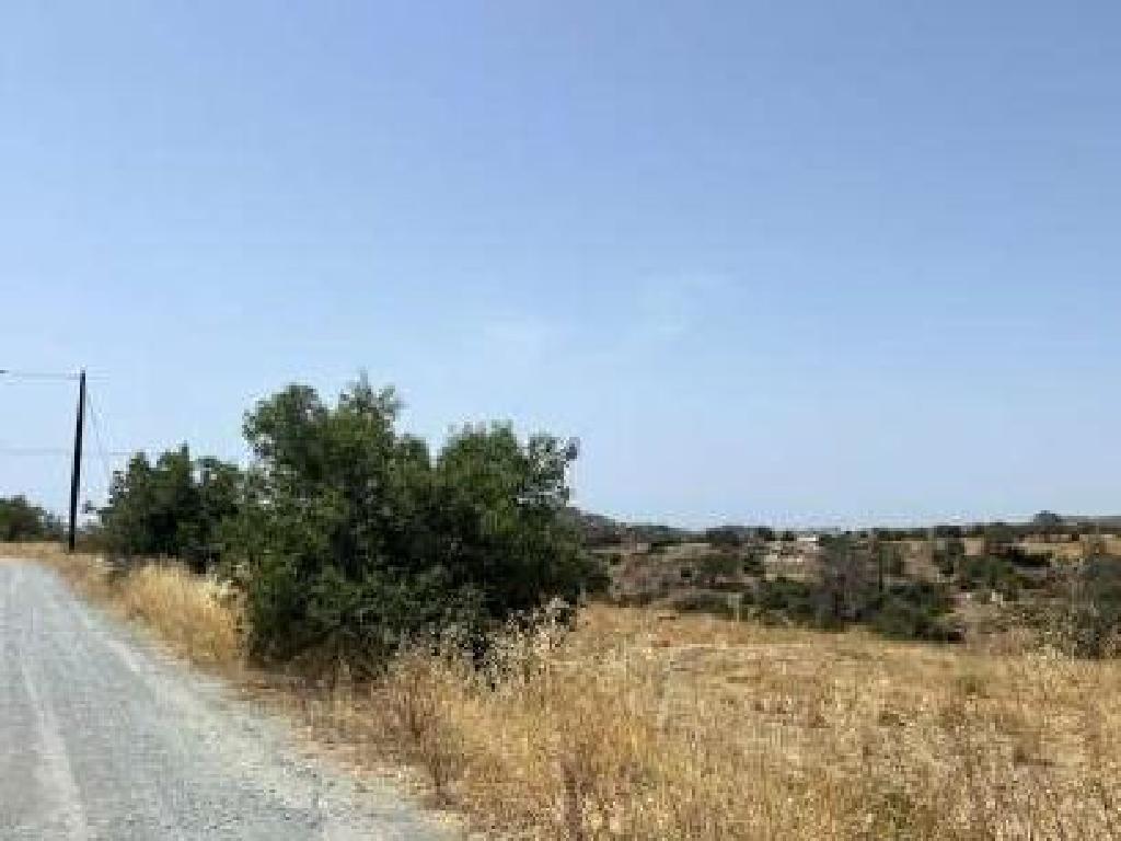 Field - Pyrgos, Limassol