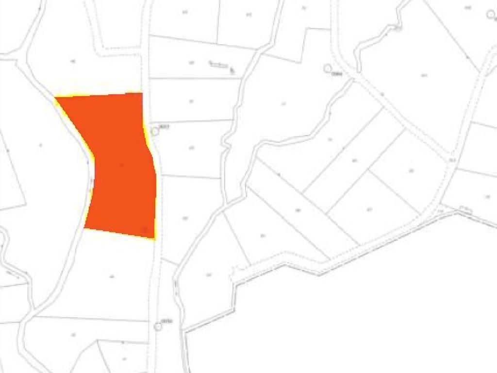 Field - Pyrgos, Limassol