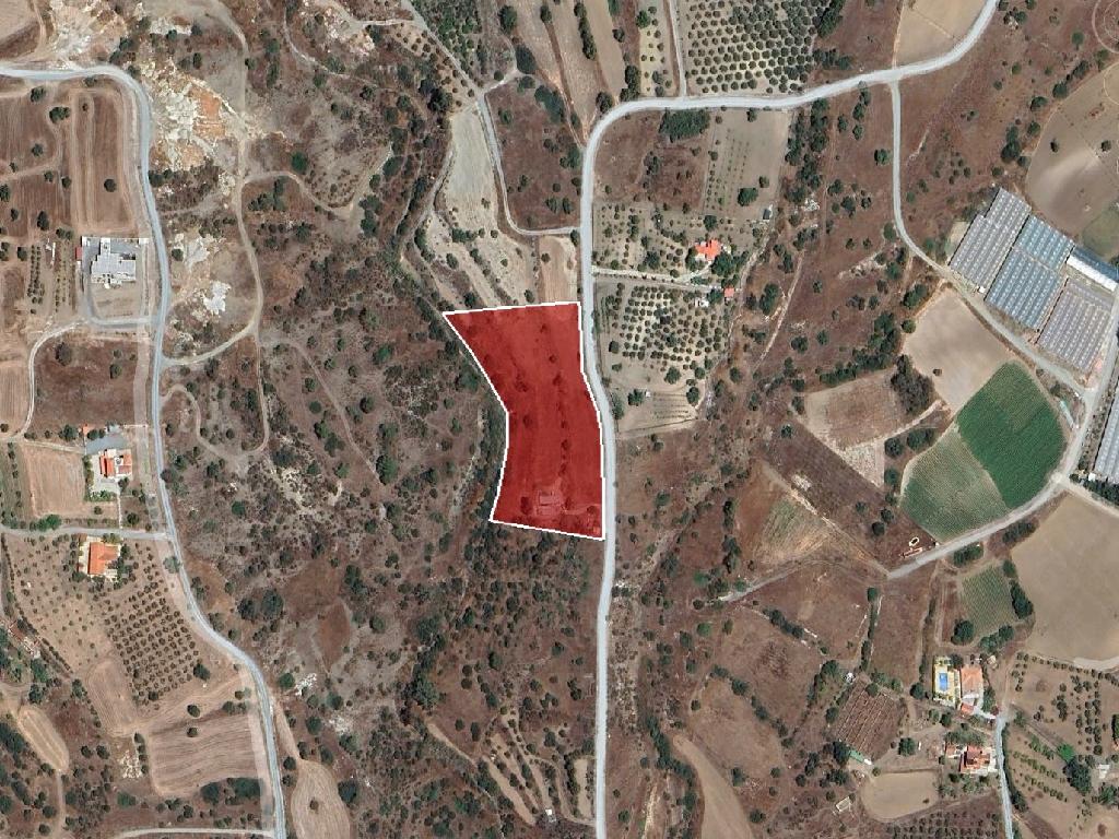 Field - Pyrgos, Limassol