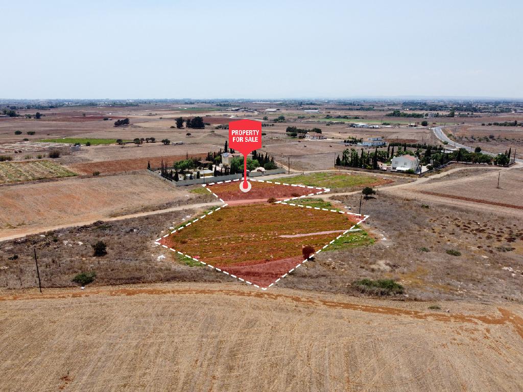 Field - Frenaros, Famagusta