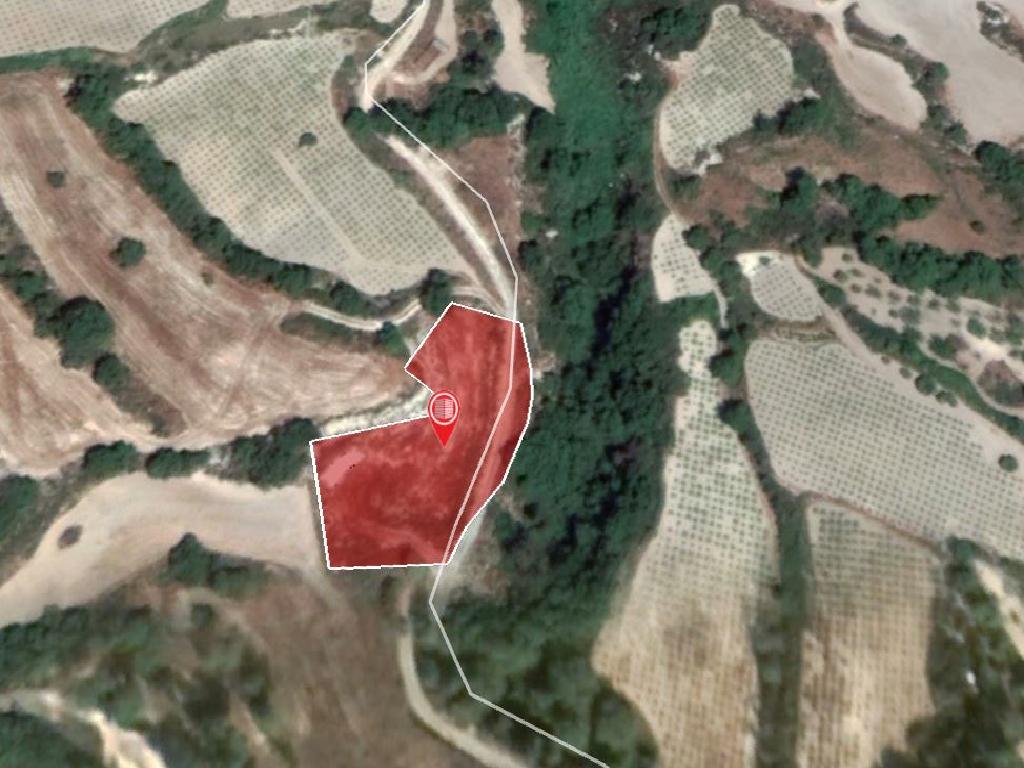 Field - Stroumbi, Paphos