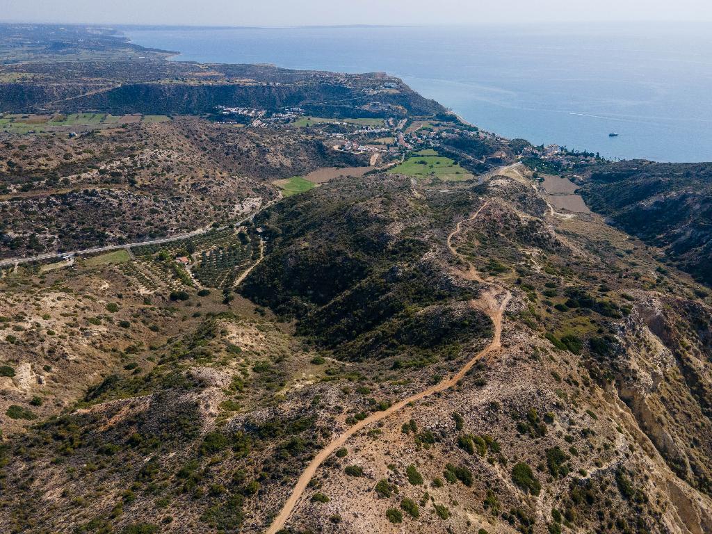 Field - Pissouri, Limassol