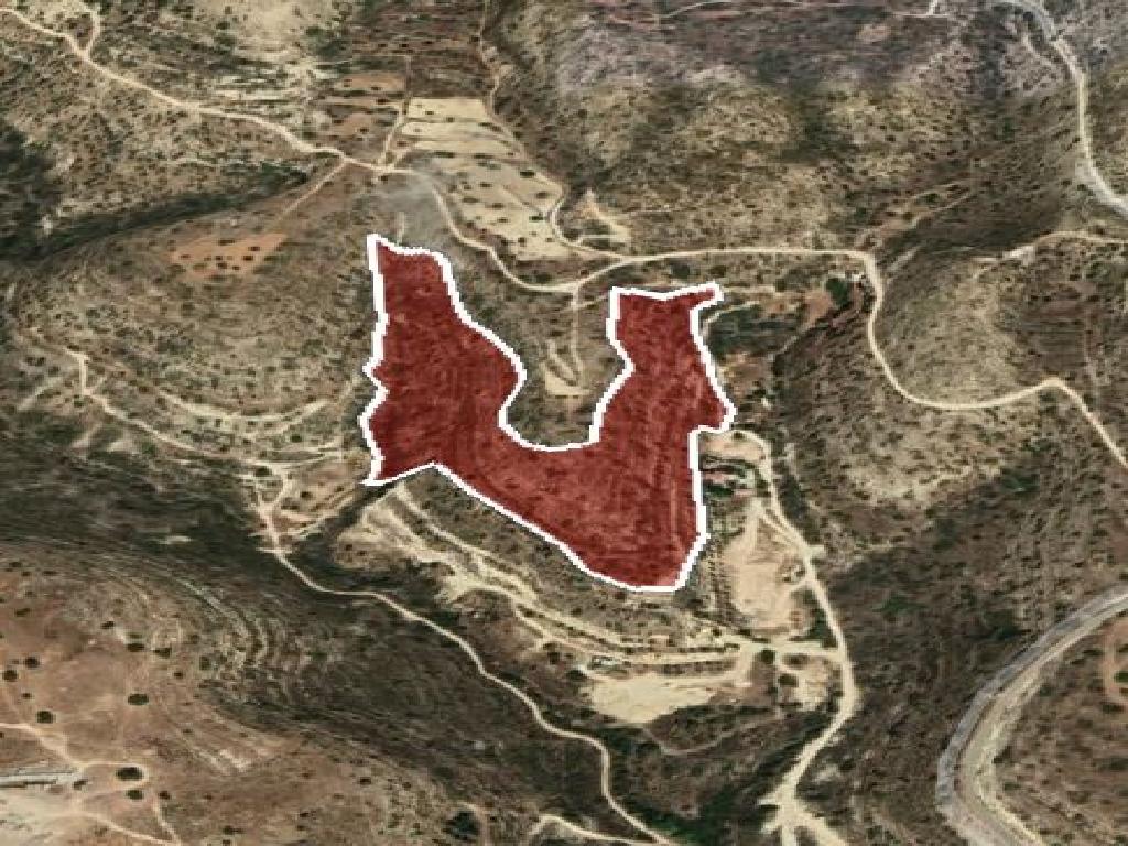 Field-Agios Athanasios-PR35843