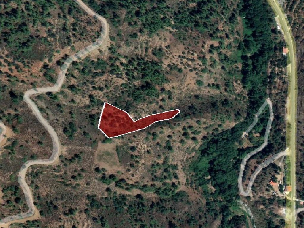 Field-Kalopanagiotis-PR36186