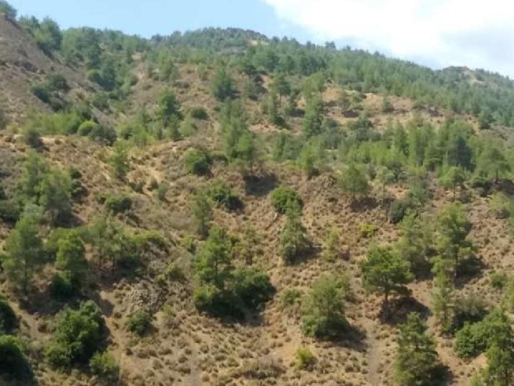 Field-Kalopanagiotis-PR36186