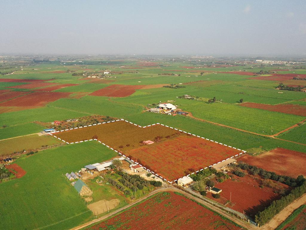 Field - Avgorou, Famagusta