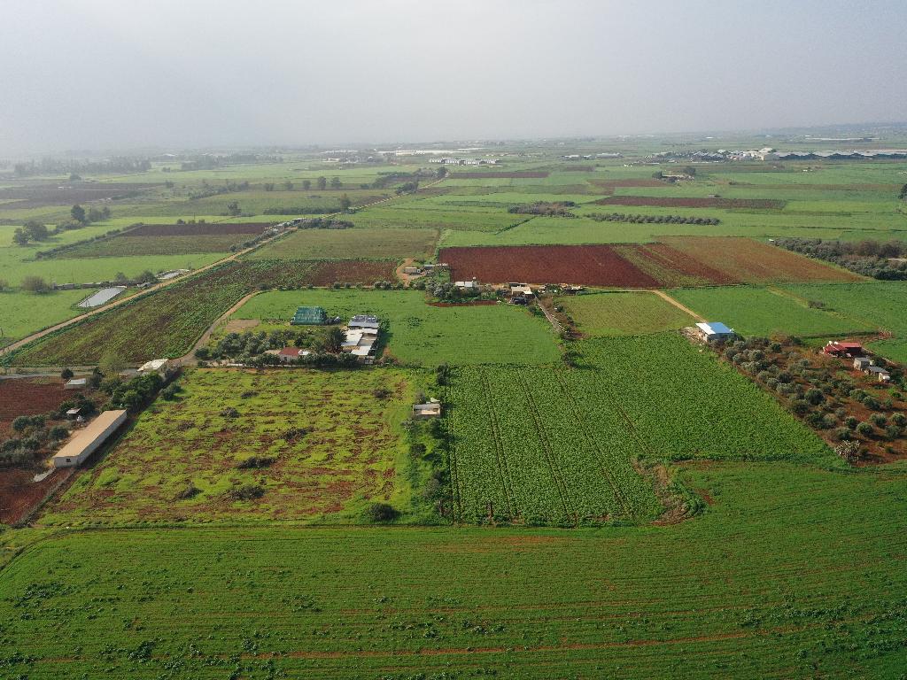 Field-Avgorou-PR36142