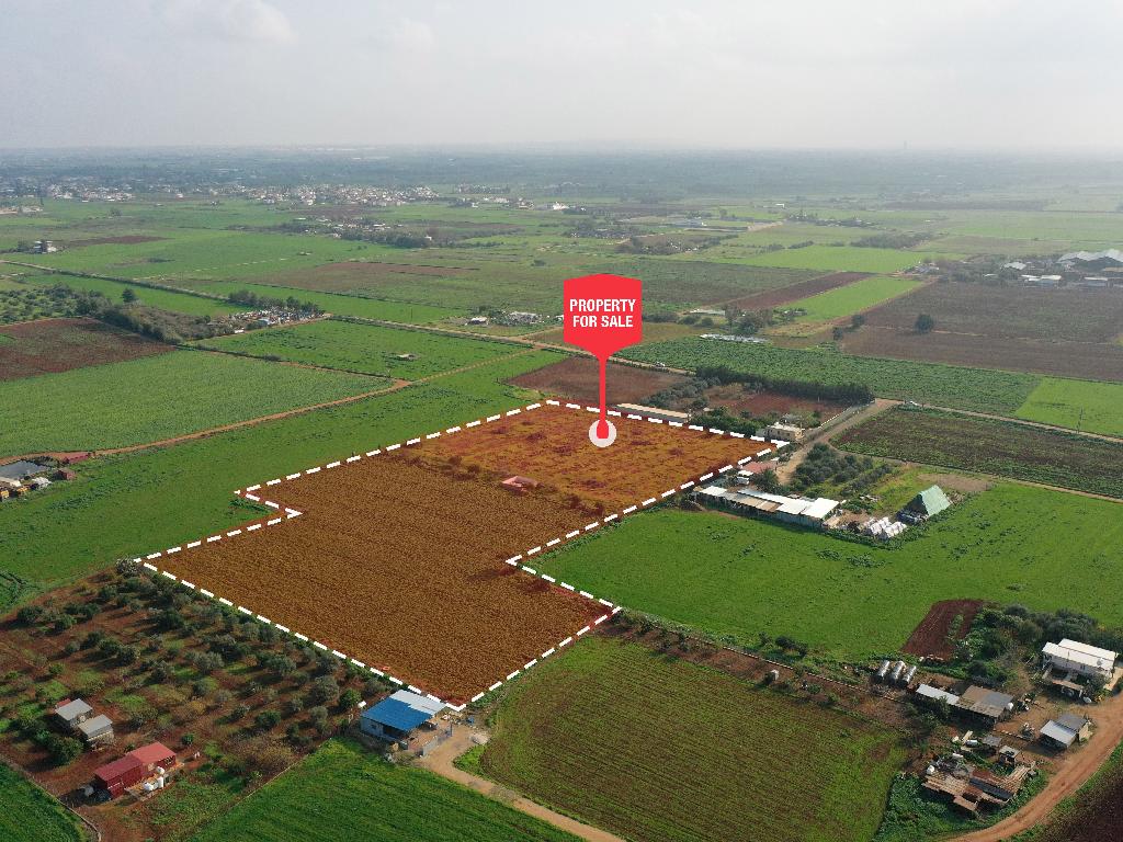 Field-Avgorou-PR36142