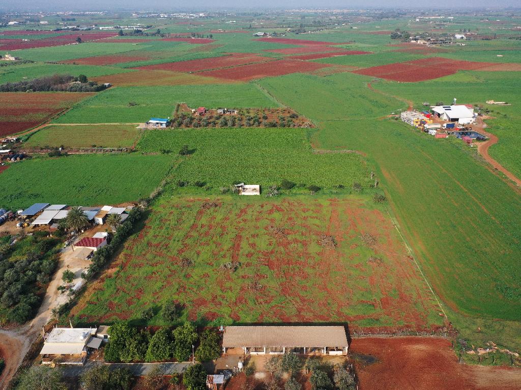 Field-Avgorou-PR36142
