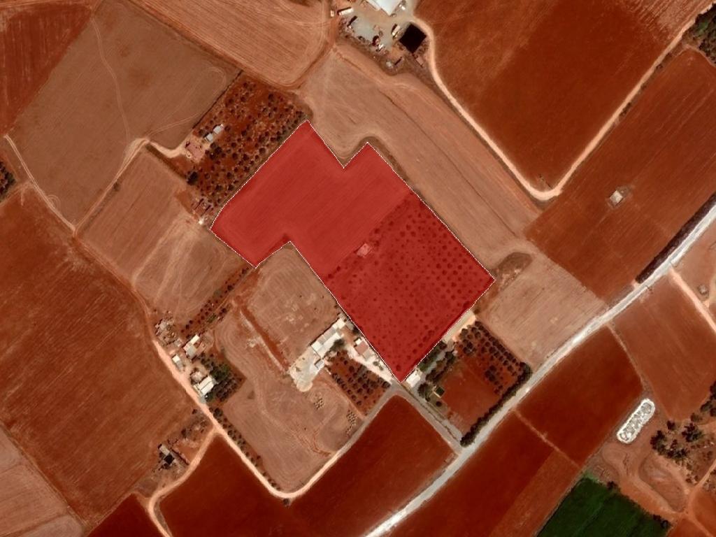 Field-Avgorou-PR36142