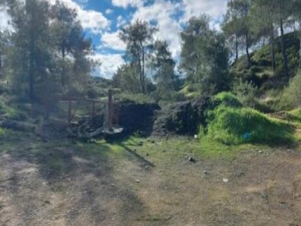 Field-Kampia-PR37603