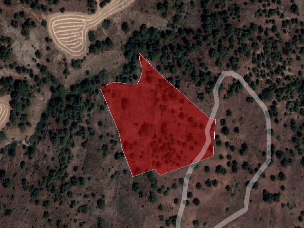 Field-Kampia-PR37603