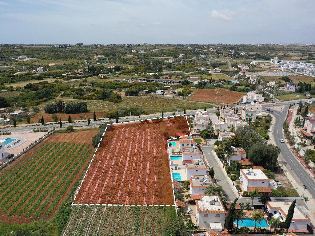Field-Paralimni-PR36550