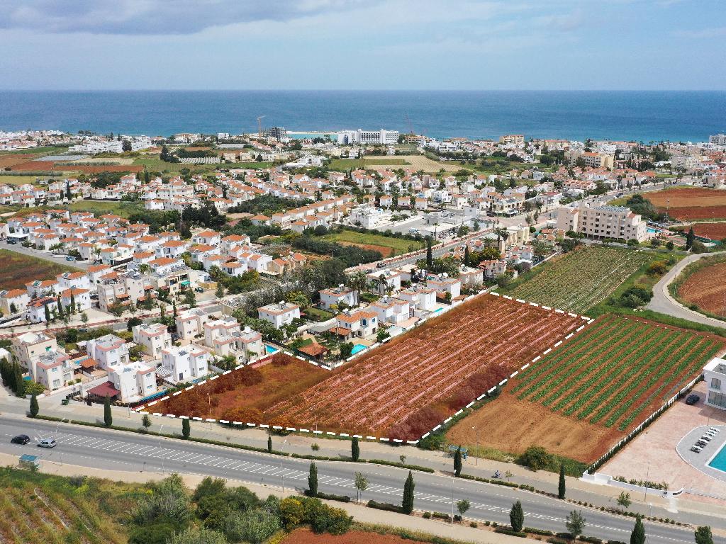 Field-Paralimni-PR36550