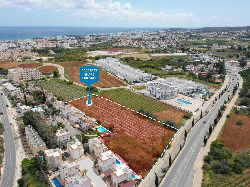 Field-Paralimni-PR36550
